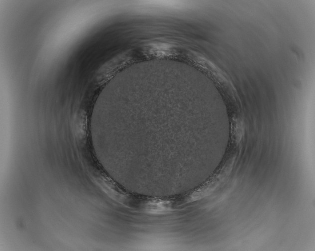 X0000111000760200906261458