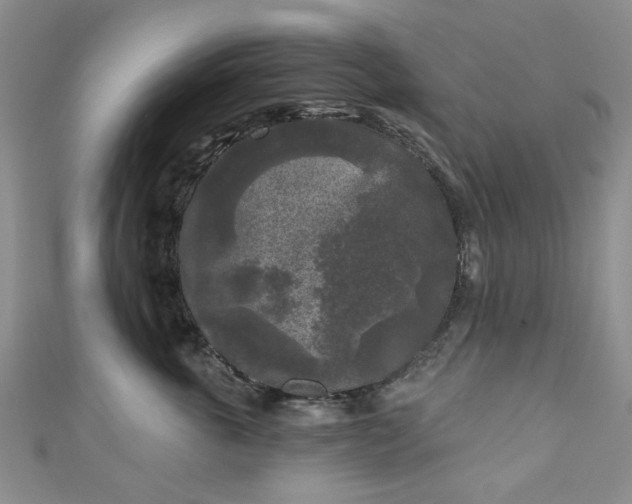 X0000111000763200906261458