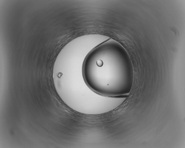 X0000111000768200906261458