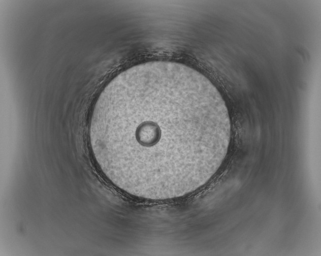 X0000111000769200906261458