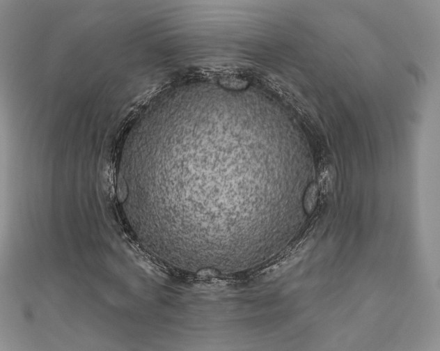 X0000111000772200906261458