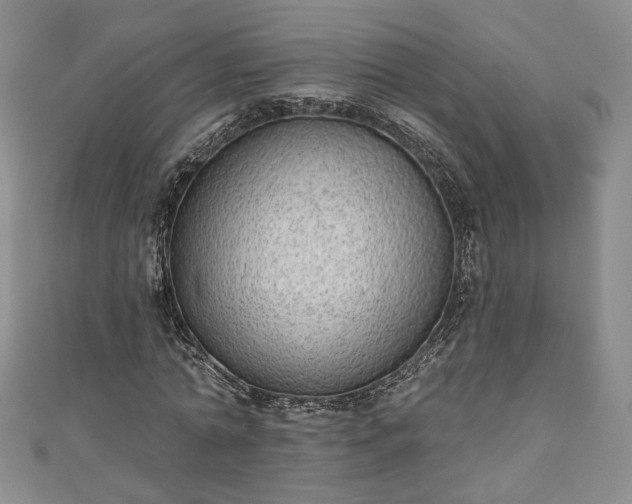 X0000111000774200906261458