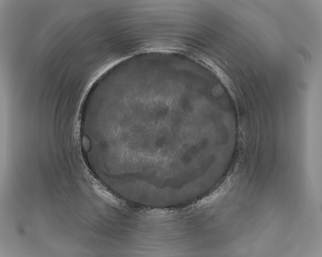 X0000111000779200906261458