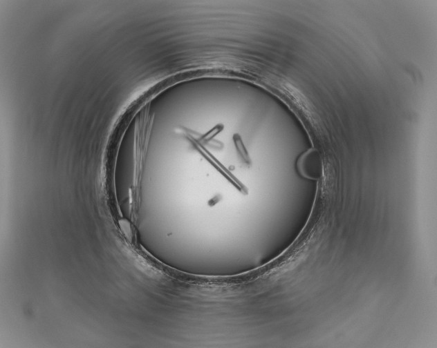 X0000111000780200906261458