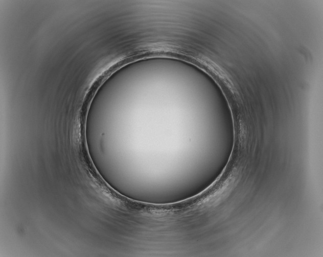 X0000111000782200906261458