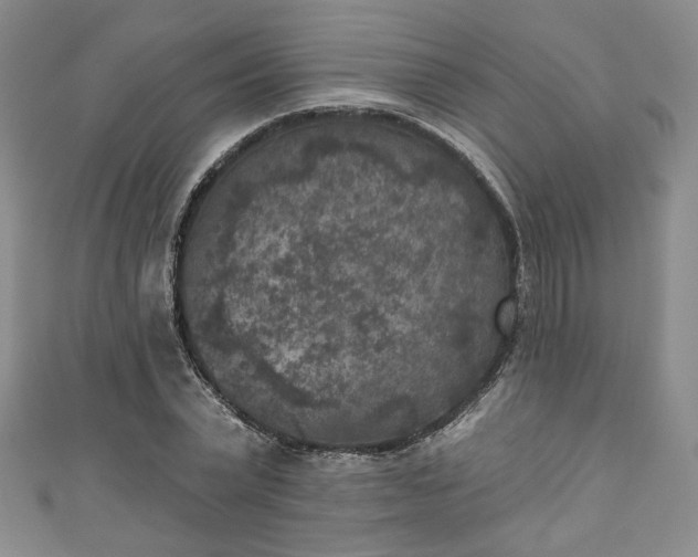 X0000111000783200906261458