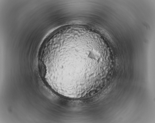 X0000111000784200906261458