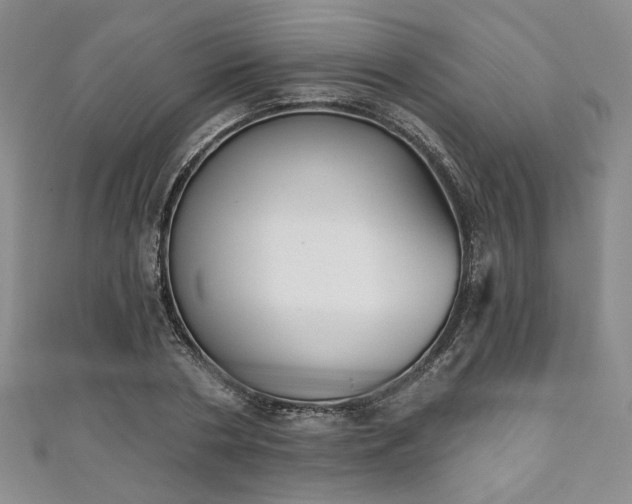 X0000111000786200906261457