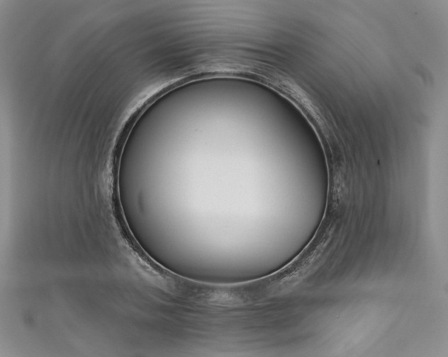 X0000111000787200906261457