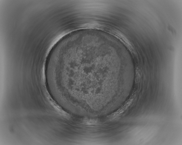 X0000111000788200906261457