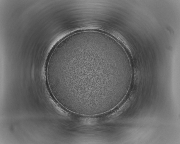 X0000111000789200906261457