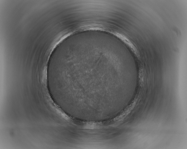 X0000111000790200906261457