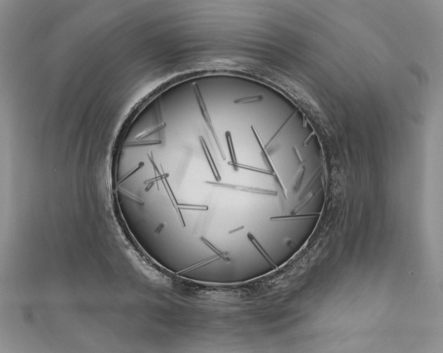 X0000111000792200906261457