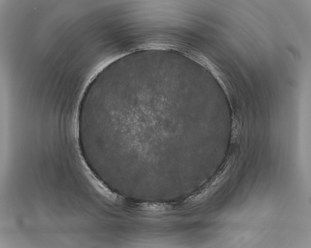 X0000111000795200906261457