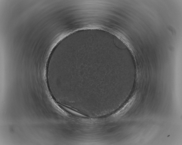 X0000111000797200906261457