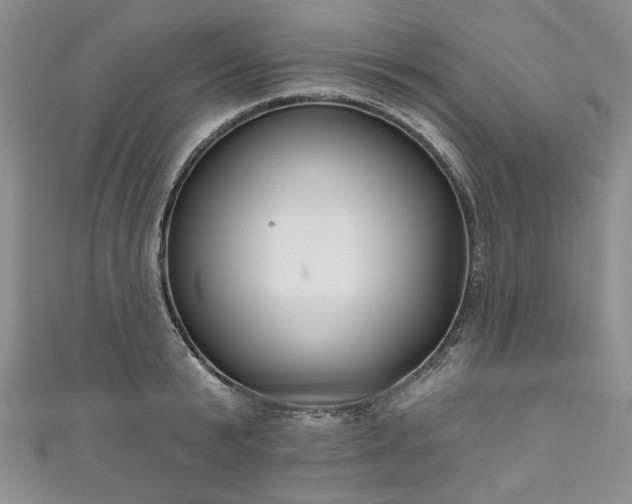 X0000111000799200906261457