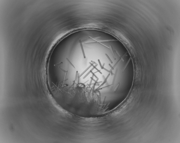X0000111000800200906261457