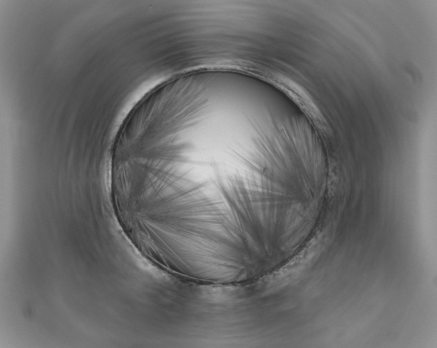 X0000111000804200906261457