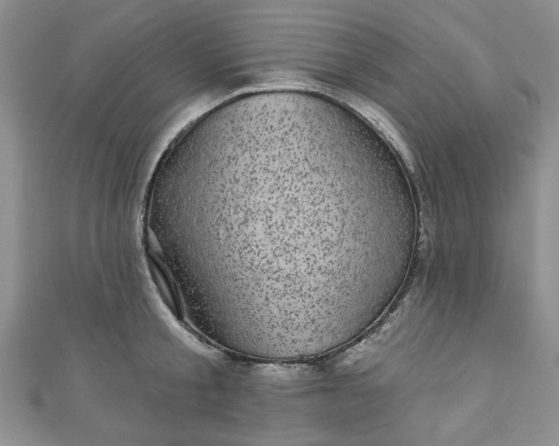 X0000111000805200906261457