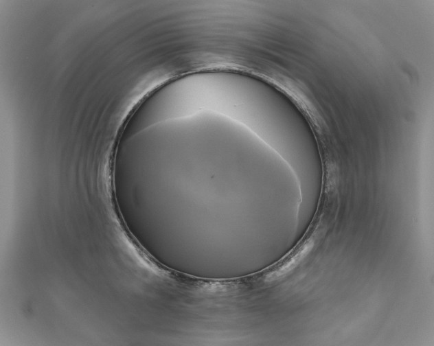 X0000111000806200906261457