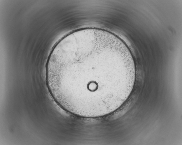 X0000111000807200906261457