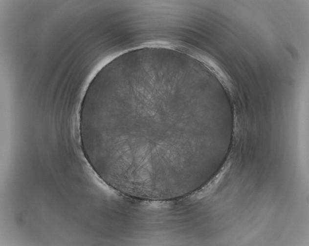 X0000111000808200906261457
