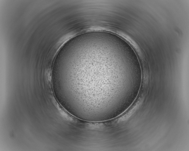 X0000111000809200906261457