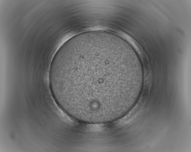 X0000111000810200906261457