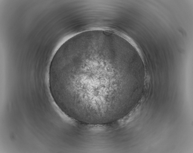 X0000111000811200906261457