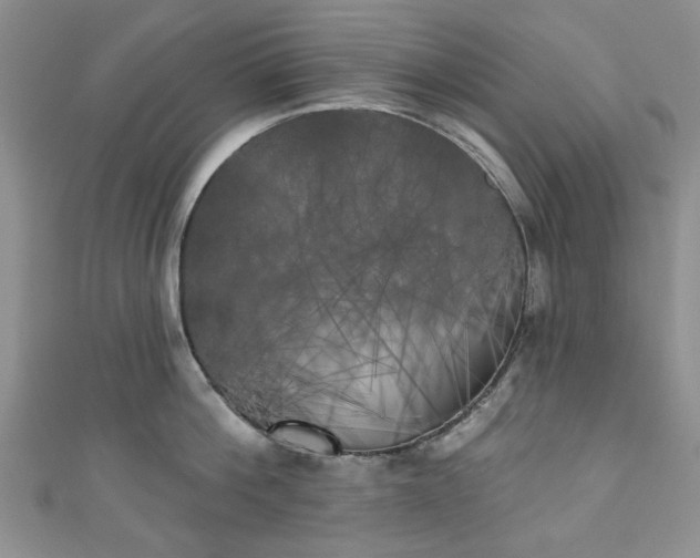 X0000111000812200906261457