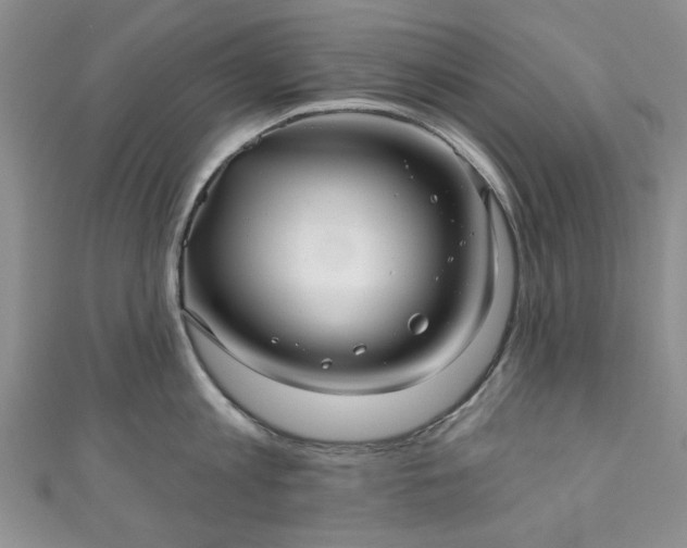 X0000111000813200906261457