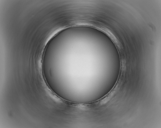 X0000111000814200906261457