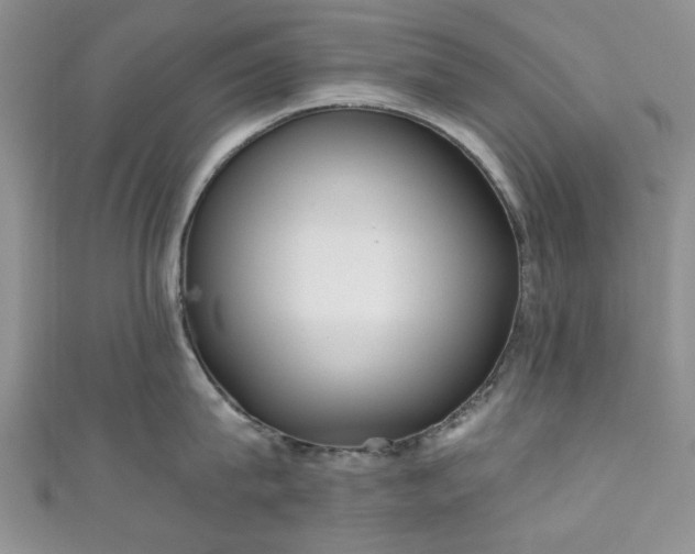 X0000111000815200906261457