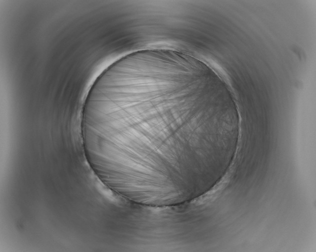 X0000111000816200906261457