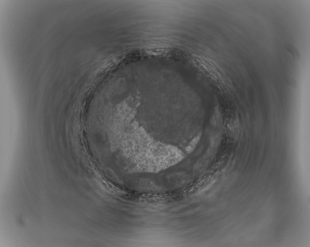 X0000111000817200906261456