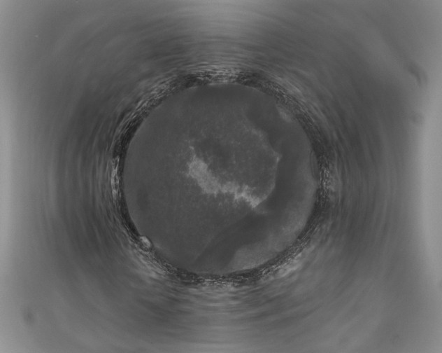 X0000111000818200906261456