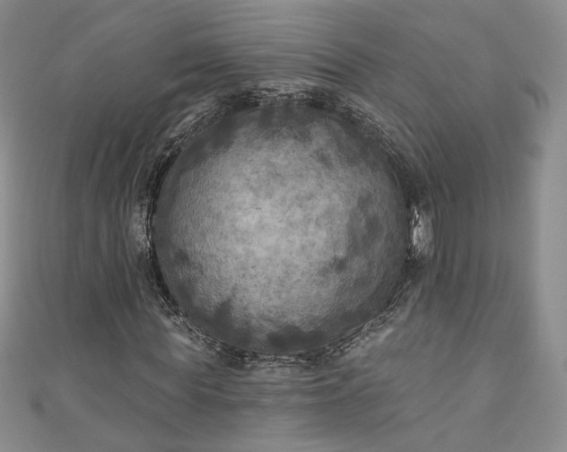 X0000111000819200906261457