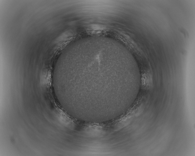 X0000111000820200906261457