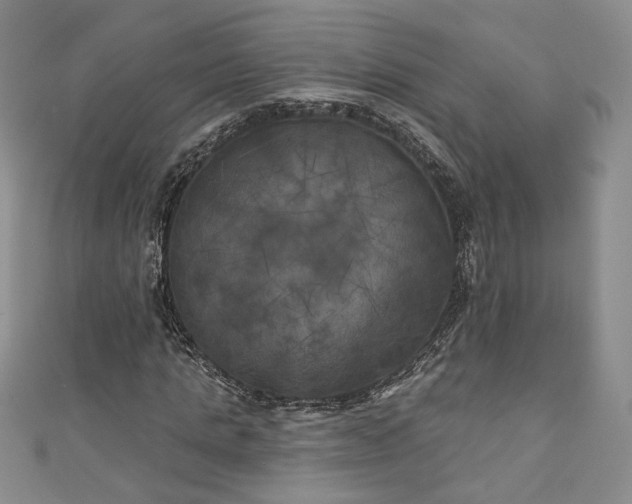 X0000111000821200906261457