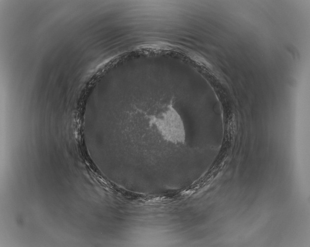 X0000111000822200906261457