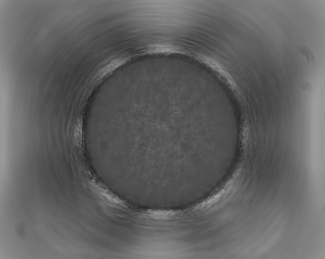 X0000111000825200906261457