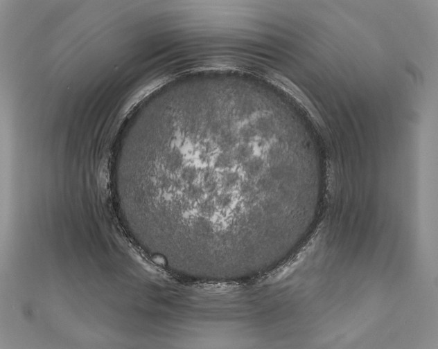 X0000111000826200906261457