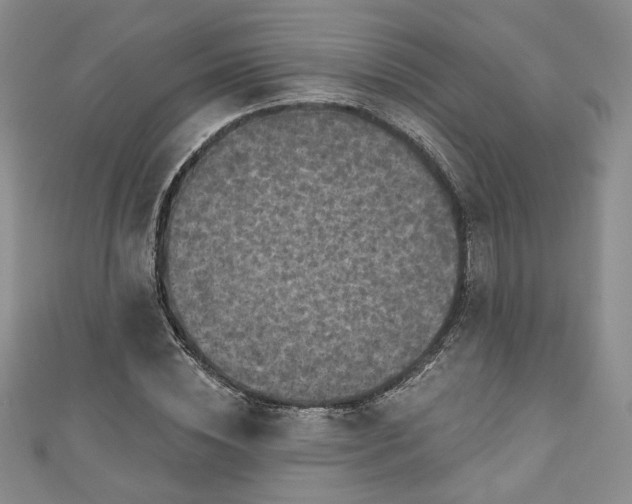 X0000111000828200906261457