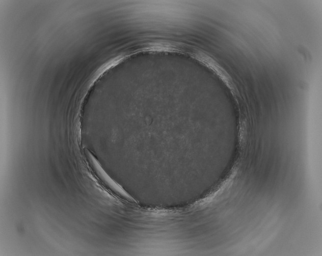 X0000111000829200906261457