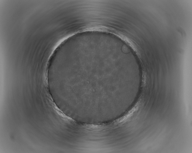 X0000111000830200906261457