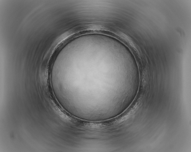 X0000111000831200906261457