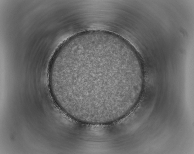 X0000111000832200906261457