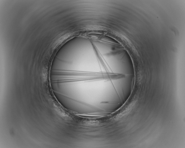 X0000111000833200906261457