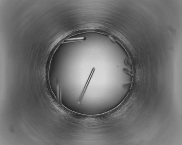 X0000111000834200906261457
