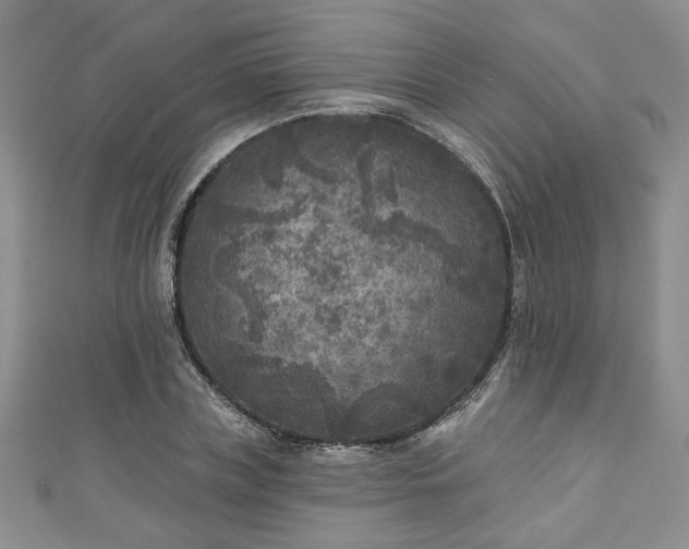 X0000111000835200906261457